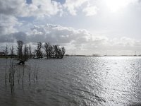 NL, Noord-Brabant, Altena, Braspenning 21, Saxifraga-Willem van Kruijsbergen