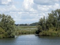 NL, Noord-Brabant, Altena, Polder Ganzewei 12, Saxifraga-Willem van Kruijsbergen