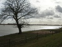 NL, Noord-Brabant, Altena, Polder Keizersguldenwaard 6, Saxifraga-Jan van der Straaten