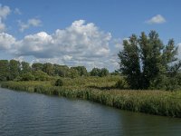 NL, Noord-Brabant, Drimmelen, Polder Lange Plaat 16, Saxifraga-Jan van der Straaten