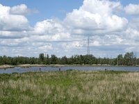 NL, Noord-Brabant, Drimmelen, Polder Turfzakken 12, Saxifraga-Willem van Kruijsbergen