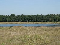 NL, Noord-Brabant, Loon op Zand, Huis ter Heide 21, Saxifraga-Willem van Kruijsbergen
