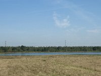NL, Noord-Brabant, Loon op Zand, Huis ter Heide 23, Saxifraga-Willem van Kruijsbergen