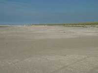 NL, Zuid-Holland, Westland, Ter Heijde 14, Saxifraga-Willem van Kruijsbergen