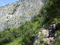A, Steiermark, Schildlehen, Hoher Dachstein 3, Saxifraga-Foto Fitis-Sytske Dijksen