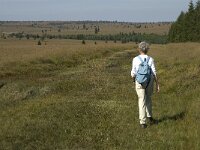B, Liege, Waimes, Fagne Wallone 13, Saxifraga-Jan van der Straaten
