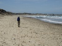 Nordjylland, Thisted, Norre Vorupor East 18, Saxifraga-Jan van der Straaten