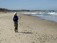 Nordjylland, Thisted, Norre Vorupor East 19, Saxifraga-Jan van der Straaten