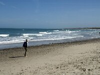 Nordjylland, Thisted, Norre Vorupor East 2, Saxifraga-Jan van der Straaten