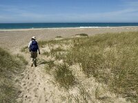 Nordjylland, Thisted, Norre Vorupor West 16, Saxifraga-Jan van der Straaten