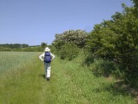 Sjaelland, Vordingborg, Moens Klint South 23, Saxifraga-Jan van der Straaten