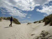 Syddanmark, Varde, Holmlands Klint 10, Saxifraga-Jan van der Straaten