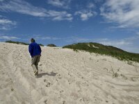Syddanmark, Varde, Holmlands Klint 2, Saxifraga-Jan van der Straaten