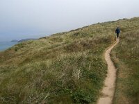 GB, Cornwall, Newquay, SW Coastpath, Penhale Sands 2, Saxifraga-Foto Fitis-Sytske Dijksen