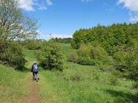 D, Rheinland-Pfalz, Gerolstein, Gerolsteiner Dolomiten 8, Saxifraga-Tom Heijnen