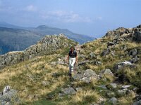 GB, Cumbria, Keswick, Glaramara 1, Saxifraga-Jan van der Straaten