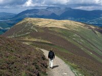GB, Cumbria, Keswick, Maiden Moor 1, Saxifraga-Jan van der Straaten