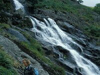 GB, Cumbria, Keswick, Sour Milk Gill 1, Saxifraga-Jan van der Straaten