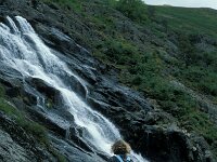 GB, Cumbria, Keswick, Sour Milk Gill 2, Saxifraga-Jan van der Straaten