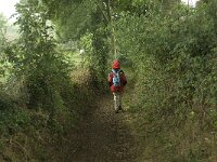 NL, Limburg, Margraten, Noorbeek 1, Saxifraga-Jan van der Straaten