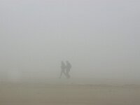 NL, Noord-Holland, Texel, De Hors 128, Saxifraga-Foto Fitis-Sytske Dijksen