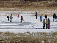 NL, Noord-Holland, Texel, Grote Vlak 11, Saxifraga-Foto Fitis-Sytske Dijksen