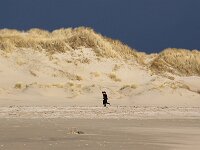 NL, Noord-Holland, Texel, Paal 8 21, Saxifraga-Foto Fitis-Sytske Dijksen