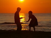 NL, Noord-Holland, Texel, paal 17 2, Saxifraga-Foto Fitis-Sytske Dijksen