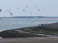 NL, Zuid-Holland, Goeree Overflakkee, Brouwersdam 8, Saxifraga-Foto Fitis-Sytske Dijksen