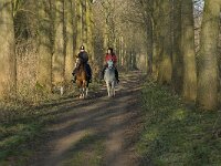 NL, Noord-Brabant, Grave, Graafsche Raam 4, Saxifraga-Jan van der Straaten