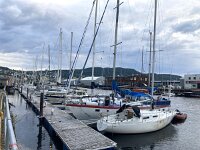 N, Trondelag, Trondheim 14, Saxifraga-Willem van Kruijsbergen