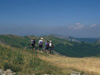 I, Pistoia, Abetone, Lago Nero 4, Saxifraga-Jan van der Straaten
