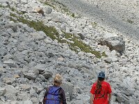 F, Isere, Gresse-en-Vercors, Sous Pierre Blanche 4, Saxifraga-Jan van der Straaten