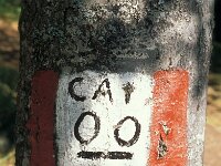 I, Pistoia, Abetone, Mt Maiori 2, Saxifraga-Jan van der Straaten