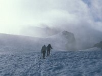 CH, Wallis, Saas-Almagell, Strahlhorn 9, Saxifraga-Jan van der Straaten