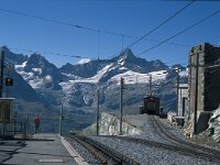 CH, Wallis, Zermatt, Gornergrat 13, Saxifraga-Jan van der Straaten
