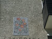 CH, Wallis, Zermatt, Zermatt 12, Saxifraga-Jan van der Straaten