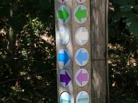 NL, Noord-Holland, Bergen, Schoorlse Duinen 17, Saxifraga-Foto Fitis-Sytske Dijksen