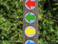 NL, Noord-Holland, Bergen, Schoorlse Duinen 19, Saxifraga-Foto Fitis-Sytske Dijksen