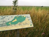 NL, Noord-Holland, Hollands Kroon, Wieringen 6, Saxifraga-Foto Fitis-Sytske Dijksen