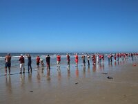 NL, Noord-Holland, Texel, Climate chain, paal 9 31, Saxifraga-Foto Fitis-Sytske Dijksen