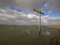 NL, Noord-Holland, Texel, De Slufter 149, Saxifraga-Foto Fitis-Sytske Dijksen