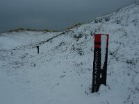 NL, Noord-Holland, Texel, Geul 3, Saxifraga-Foto Fitis-Sytske Dijksen