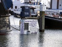 NL, Noord-Holland, Texel, Inundation, Oudeschild 27, Saxifraga-Foto Fitis-Sytske Dijksen
