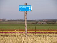 NL, Noord-Holland, Texel, Prins Hendrikdijk 1, Saxifraga-Foto Fitis-Sytske Dijksen