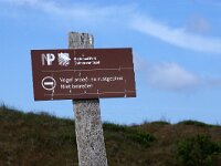 NL, Noord-Holland, Texel, Schilbolsnol 1, Saxifraga-Foto Fitis-Sytske Dijksen