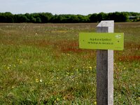NL, Utrecht, Soest, Soesterberg, Vliegkamp 1, Saxifraga-Foto Fitis-Sytske Dijksen