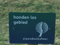 NL, Zeeland, Schouwen-Duivenland, De Schelphoek 6, Saxifraga-Jan van der Straaten