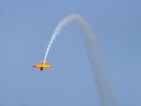 NL, Noord-Holland, Texel 83, Saxifraga-Foto Fitis-Sytske Dijksen