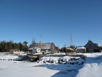 EST, Saaremaa, Tagamoisa hoiuala, 2, Saxifraga-Bart Vastenhouw